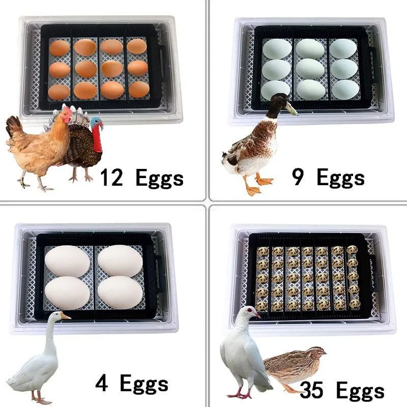 Automatic Multifunctional Egg Incubator Brooding Equipment