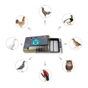 Automatic Multifunctional Egg Incubator Brooding Equipment