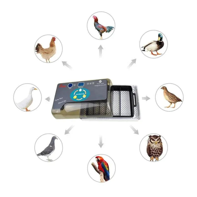 Automatic Multifunctional Egg Incubator Brooding Equipment