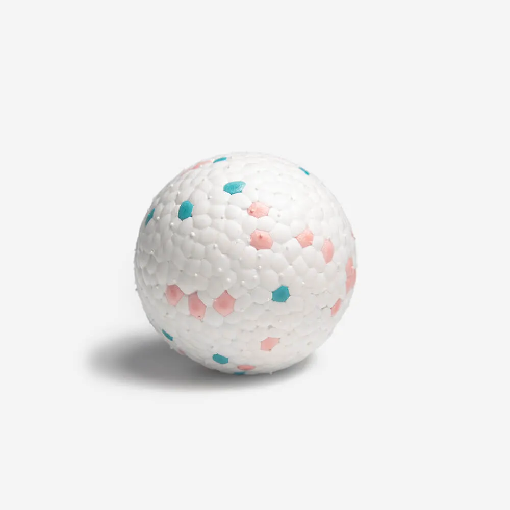 Popcorn Training Ball Dog Toy
